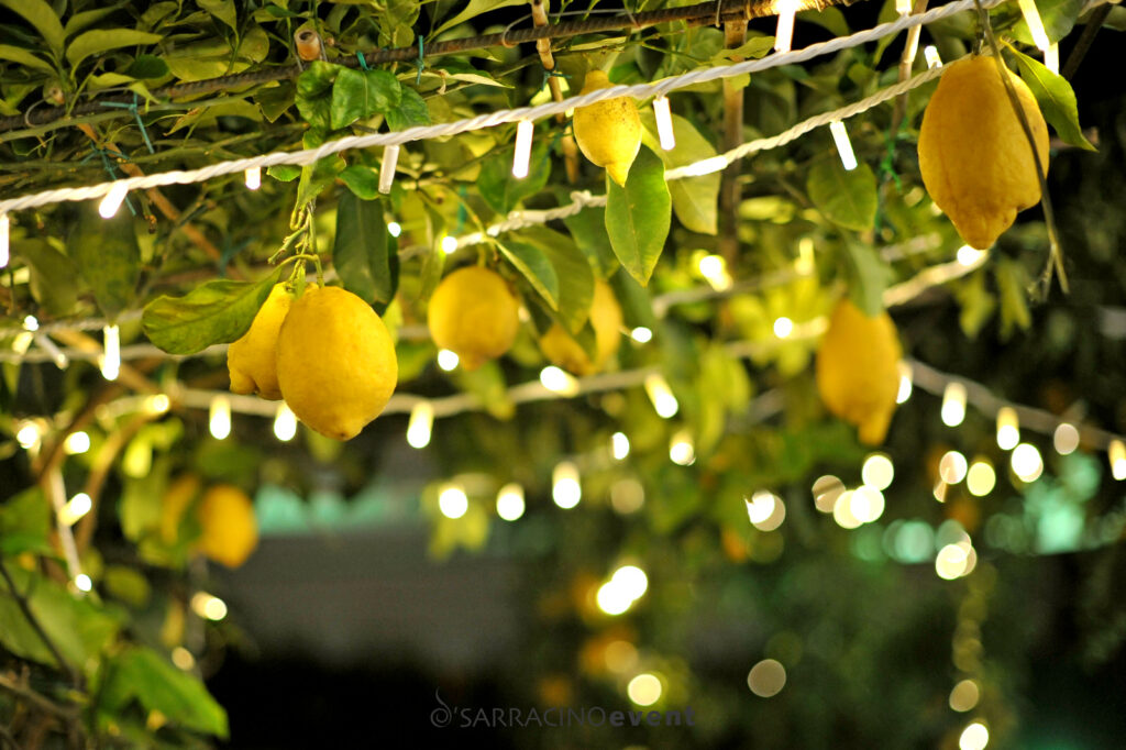Matrimonio giallo limone procida1