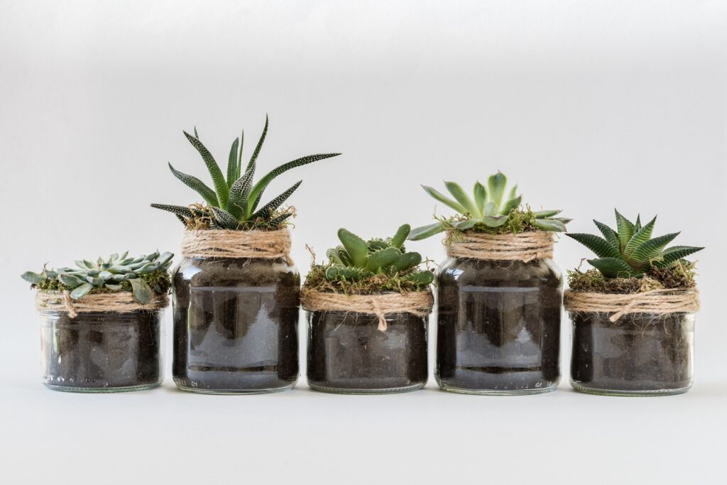 wedding green ideas